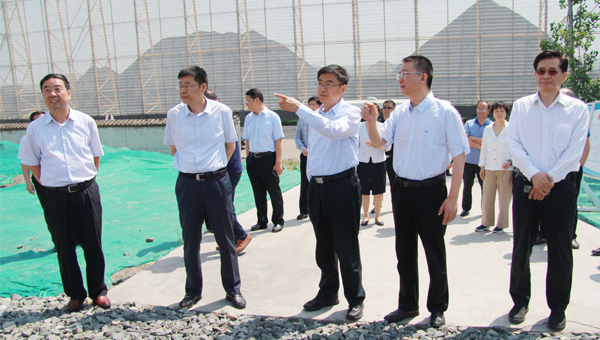 市政協(xié)副主席孟鐵林率政協(xié)委員調研順堤河作業(yè)區(qū)建設